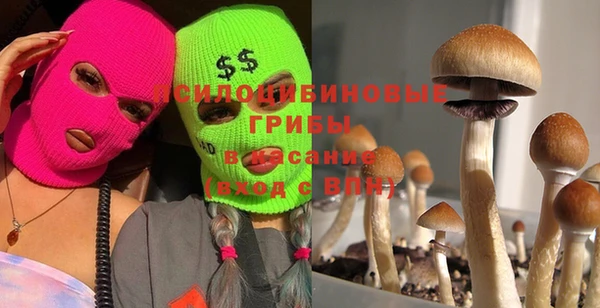 метадон Аркадак