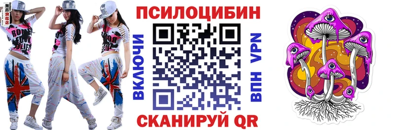 OMG вход что такое Валдай Псилоцибиновые грибы Psilocybe